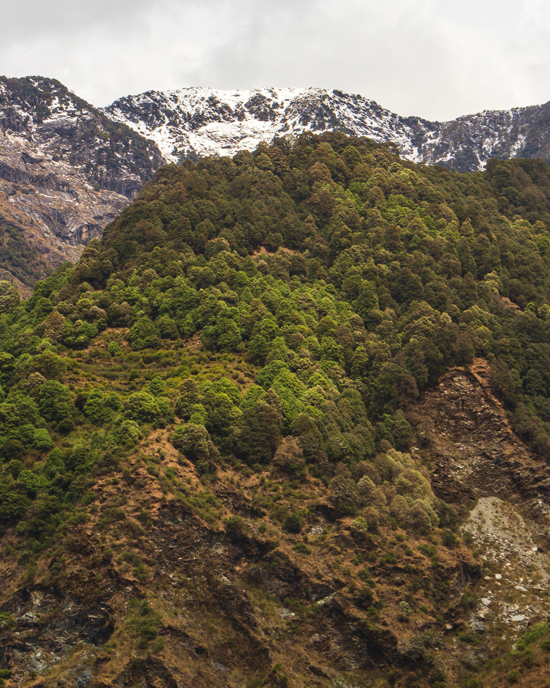 The Himalayan Mountains - where Varana sources sustainable cashmere