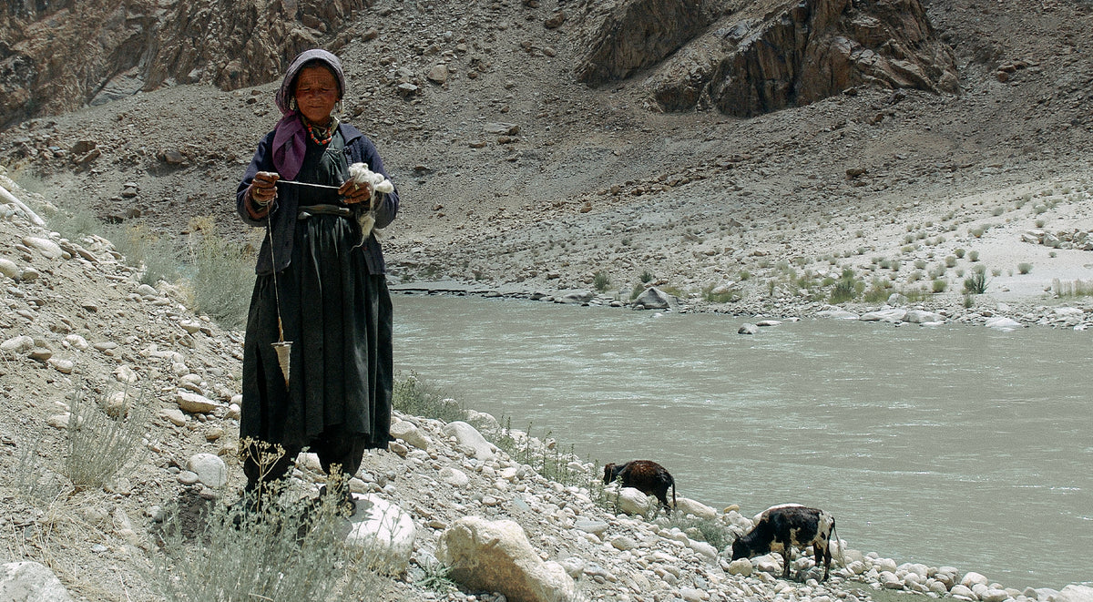 Changpa herder weaving pure pashmina in the Himalayan Mountains